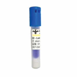 Indicador Biológico de 1H p/ VAPOR
